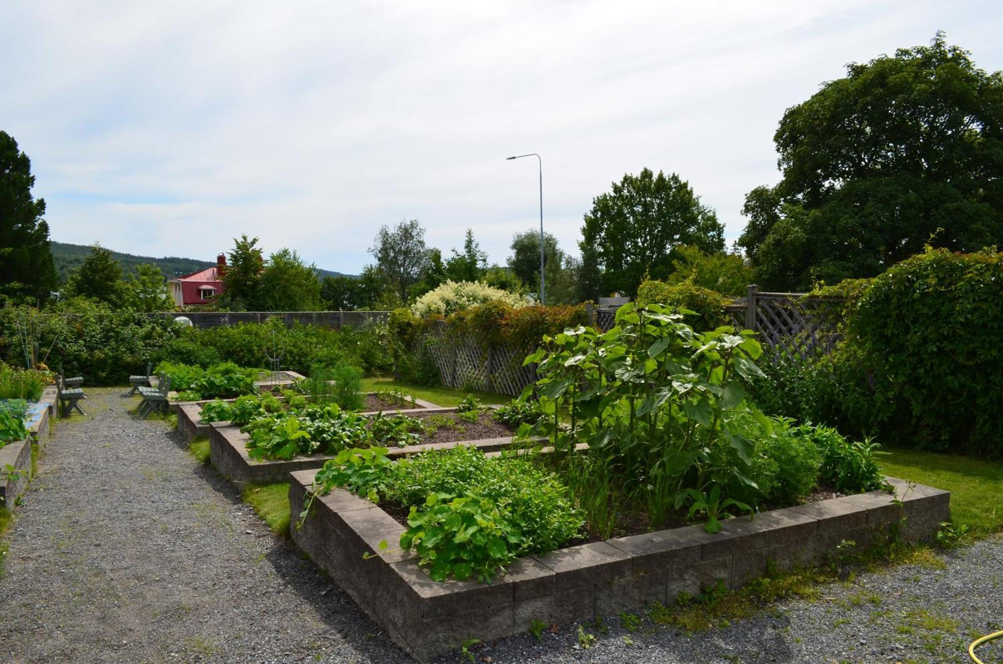 Soergardens Logi Bed & Breakfast Härnösand Eksteriør bilde