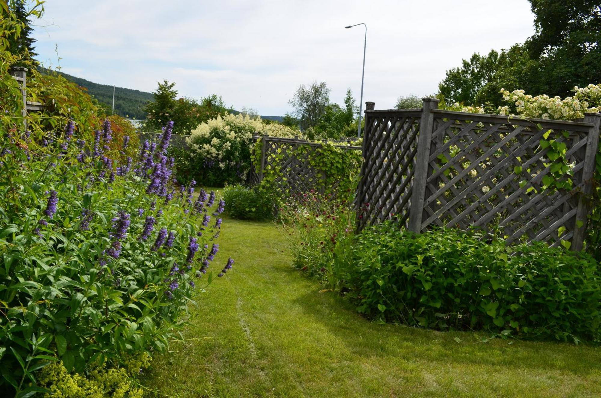 Soergardens Logi Bed & Breakfast Härnösand Eksteriør bilde